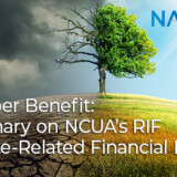 NCUA Request for Information: Climate-Related Financial Risk 